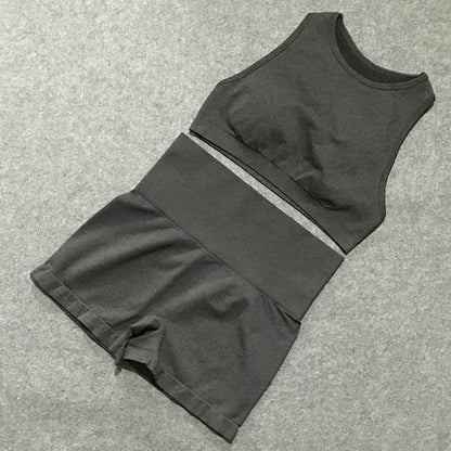 2pcs yoga sets woman sportswear stretch gym shorts-4